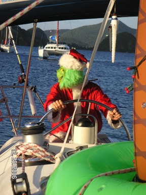 The Grinch in Iles Des Saintes