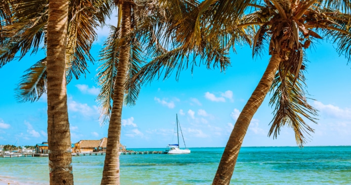 Sunny beach with a catamaran anchored by a pier, surrounded by palm trees and crystal-clear turquoise water.