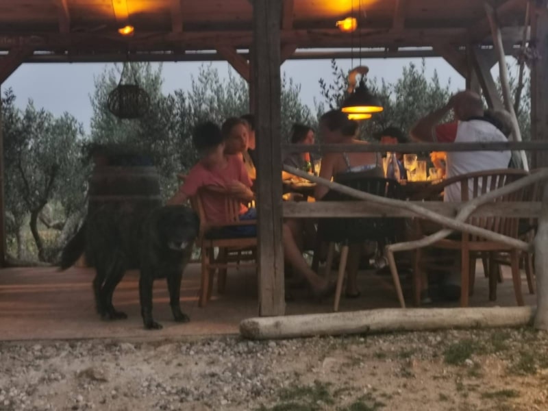 Chartering in Central Croatia - Dinner at the Fisherman's House
