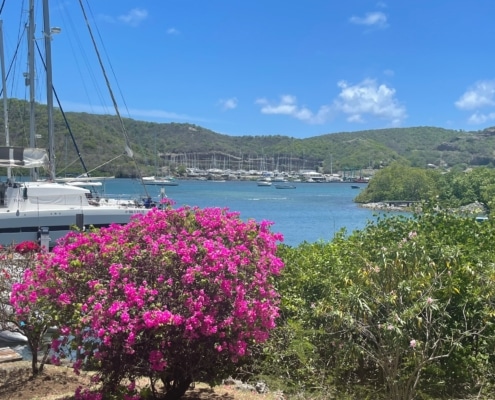 Grenada Yacht Charter the marina