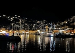 Saronic Gulf marine at night