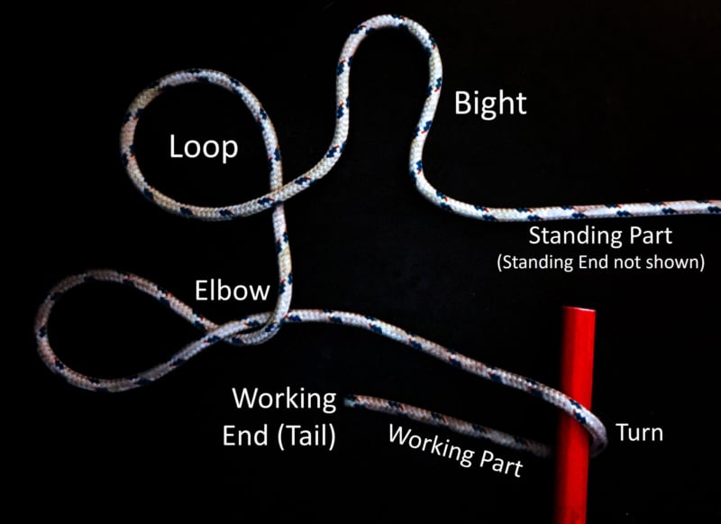 The line components of a knot