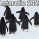 Antarctic Voyage Featured Image