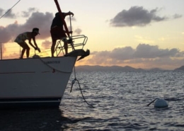 Sailors securing a sailboat to a mooring buoy at sunset, against a backdrop of tranquil ocean and distant islands.