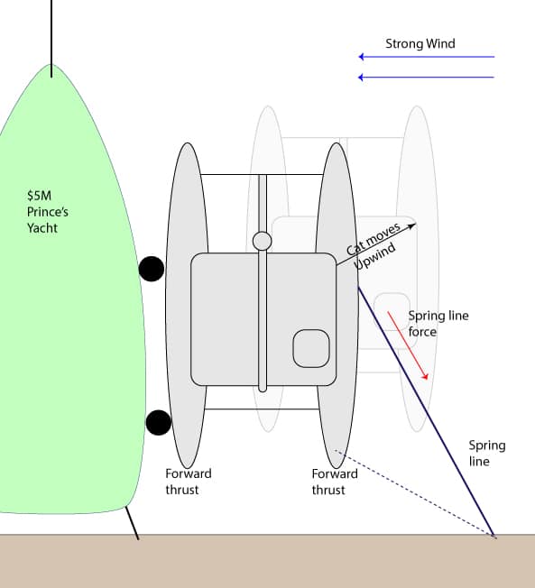 Springing a cat upwind