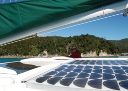 Sailing catamaran with solar panels and green sail navigating along a scenic, forested coastline under clear blue skies.