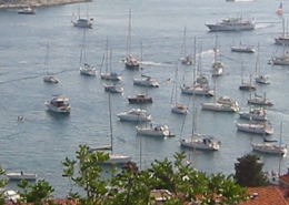 Scenic harbor view with numerous anchored sailboats and yachts, surrounded by lush greenery and coastal buildings.