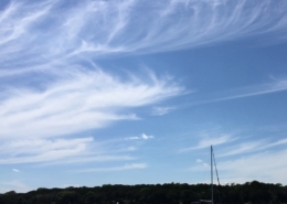 Sailboat on calm sea under wispy clouds with forested shoreline in the background, perfect for a peaceful sailing trip.