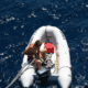 Man securing rope on inflatable boat in open sea; sunny day with deep blue water. dinghy gas vs electric motor