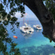 Sailboats anchored in clear blue water, surrounded by lush greenery in a tropical paradise.