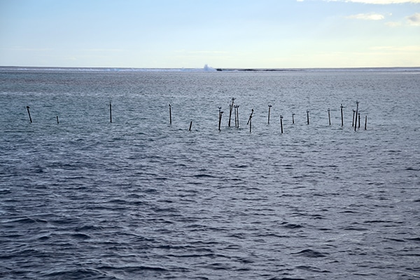 Calm ocean with wooden markers on the water, distant horizon under a clear sky.