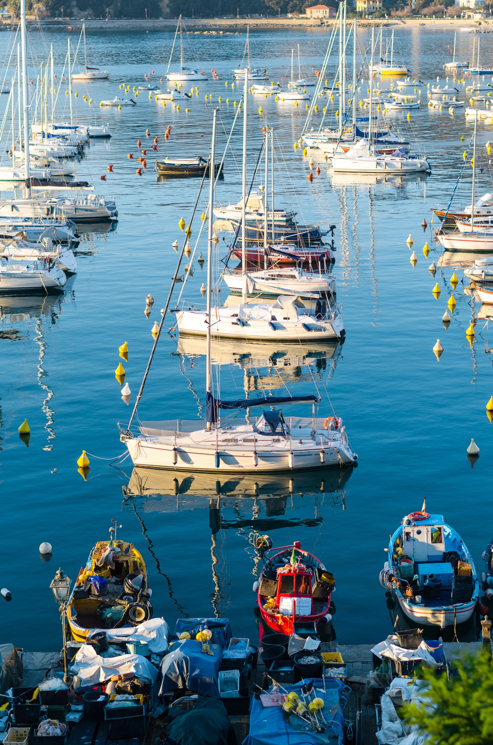 Sailboats anchored in a calm harbor, reflecting on blue water, surrounded by buoys and other small vessels.