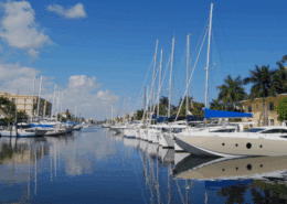 Sailing yachts docked in a sunny marina with clear blue skies and palm trees, reflecting on calm water.
