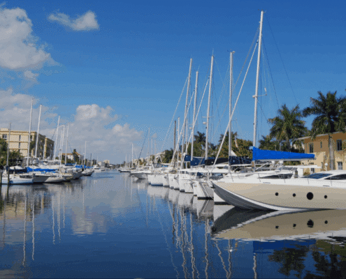 Sailing yachts docked in a sunny marina with clear blue skies and palm trees, reflecting on calm water.