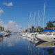 Sailing yachts docked in a sunny marina with clear blue skies and palm trees, reflecting on calm water.