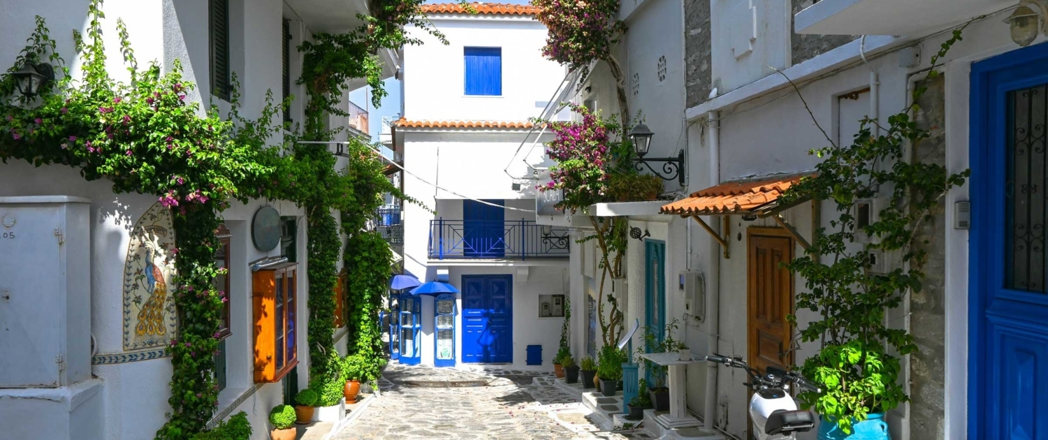 Charming Mediterranean alleyway with white walls, vibrant blue doors, and lush greenery under a clear sky.