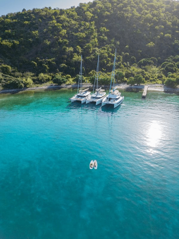 Sailboats anchored near lush island shore with clear blue water, perfect for a serene sailing getaway.