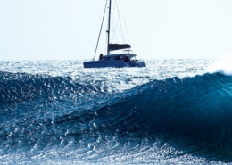 Catamaran sailing on vibrant blue ocean waves under clear sky.
