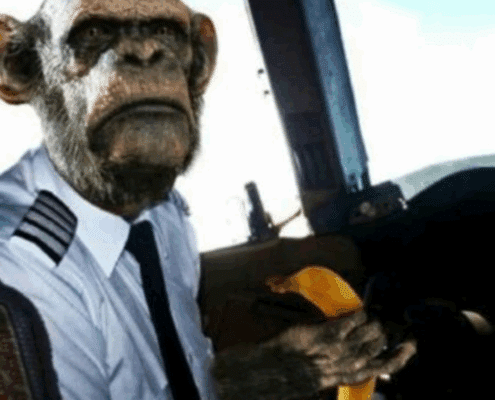best pic Chimpanzee dressed as a pilot holding a banana in an airplane cockpit. Humorous travel concept.