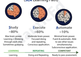 Infographic of SEA Learning Path: Study, Execute, Automate. Displays brain power percentages for each stage.