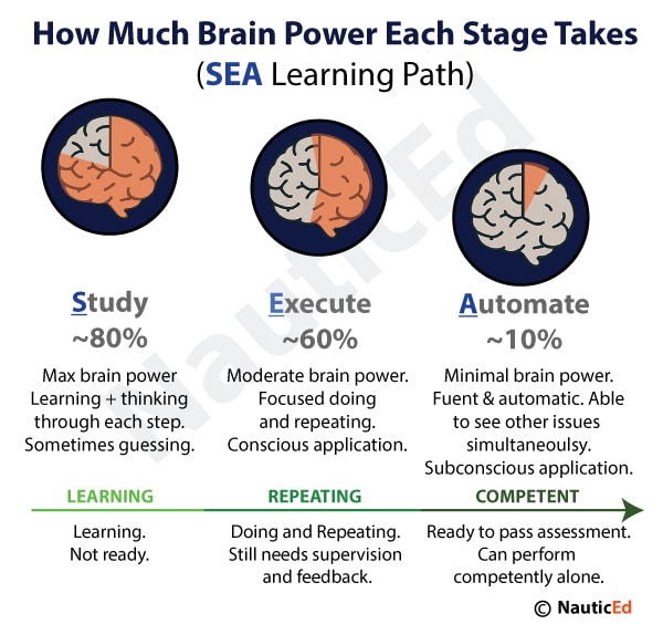 Infographic of SEA Learning Path: Study, Execute, Automate. Displays brain power percentages for each stage.