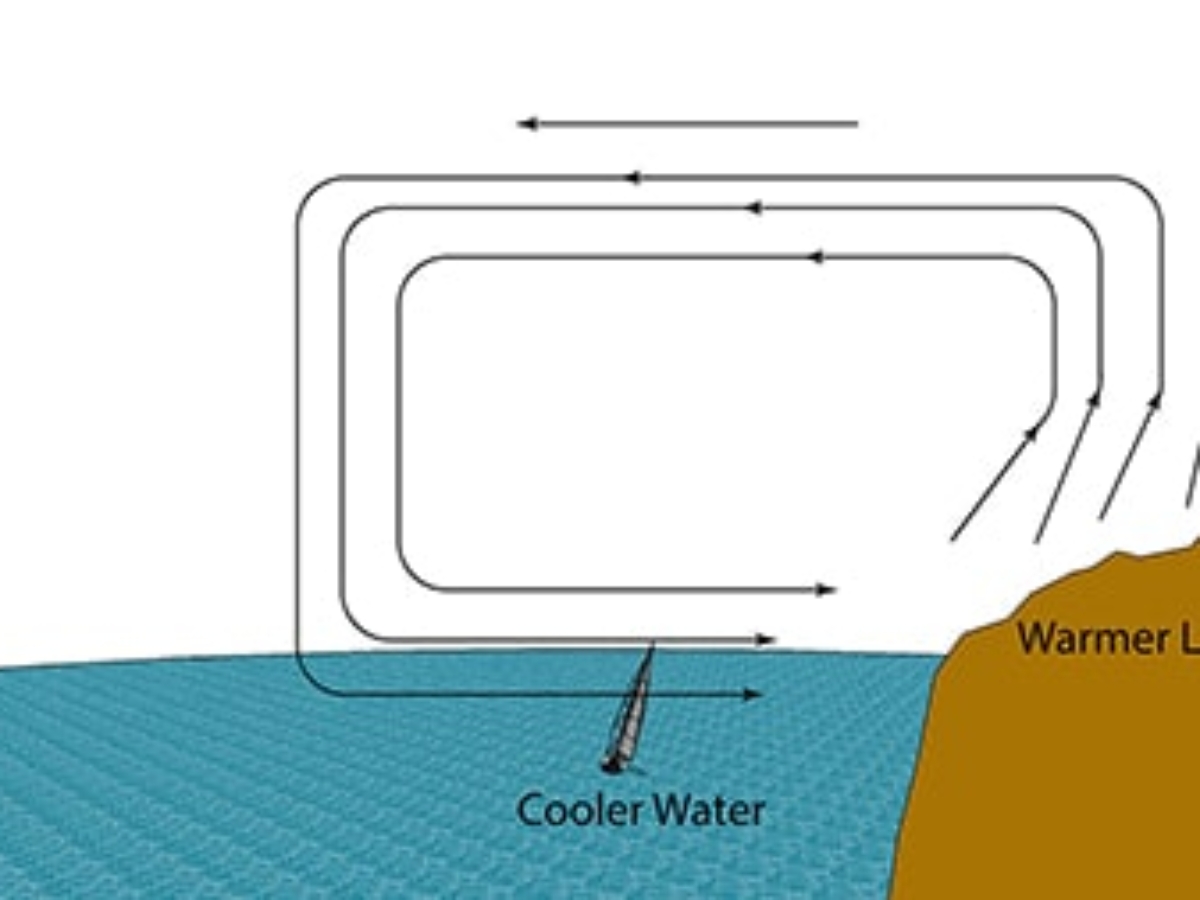 A 200-Year-Old Scale That Will Help You Read the Wind - Bay Nature, image size:1200x900